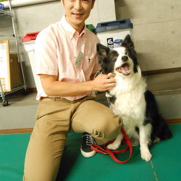 ボーダーコリーのミミちゃん ブログ 相模原 町田 多摩 スタディドッグスクール 犬のしつけ教室 幼稚園 出張